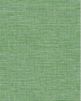 Papier peint uni Raffia Happy Vert FD26458
