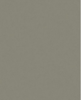 Papier peint intissé uni pour toutes les pièces de la maison