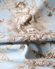 Toile de Jouy